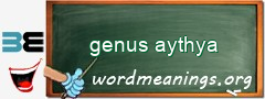 WordMeaning blackboard for genus aythya